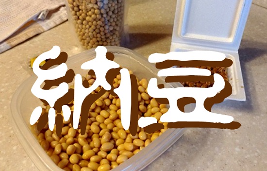 [雑記]大豆から納豆を手作りしたら派手に失敗した話